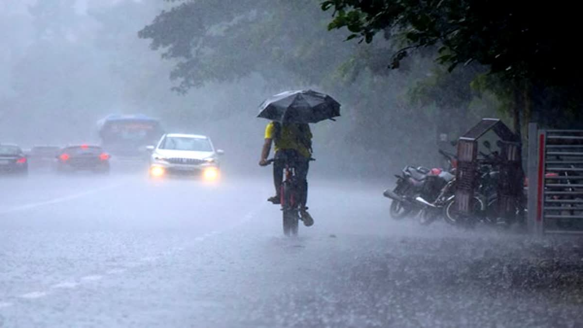 हरियाणा में मौसम का यू-टर्न: पश्चिमी विक्षोभ का असर खत्म, अब अगले 4 दिन बढ़ेगा पारा