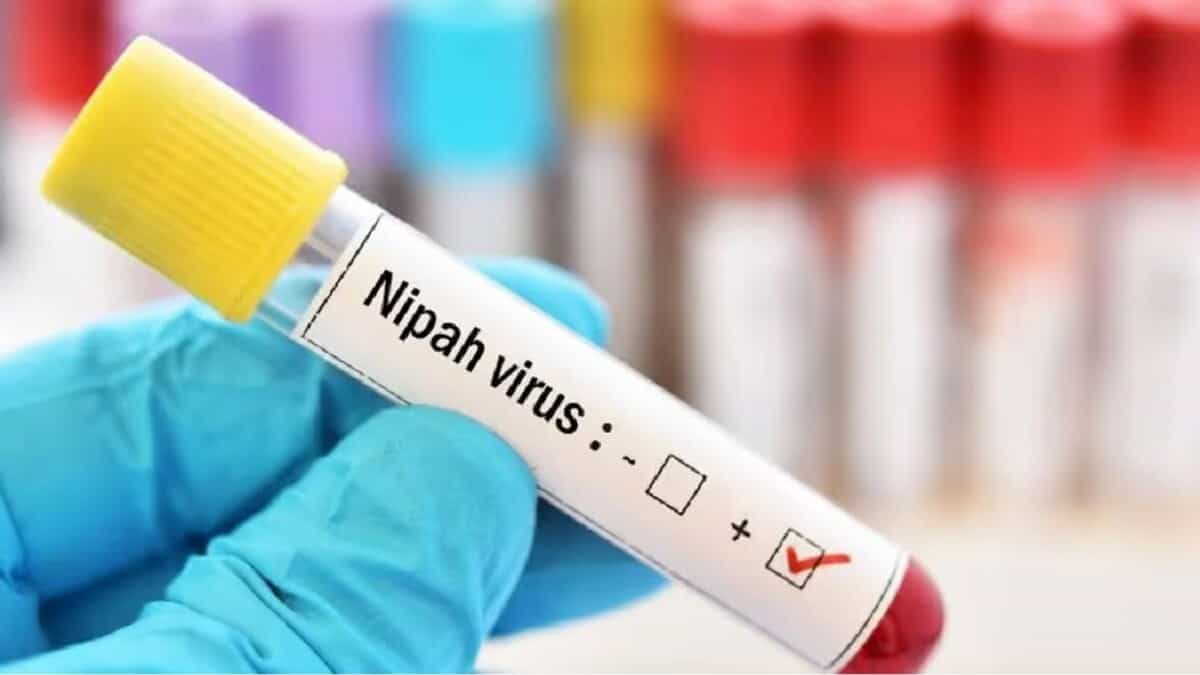 केरल में 'निपाह वायरस' ने फिर दी दस्तक, नया मामला सामने आने से मचा हड़कंप, स्वास्थ्य विभाग का हाई अलर्ट जारी