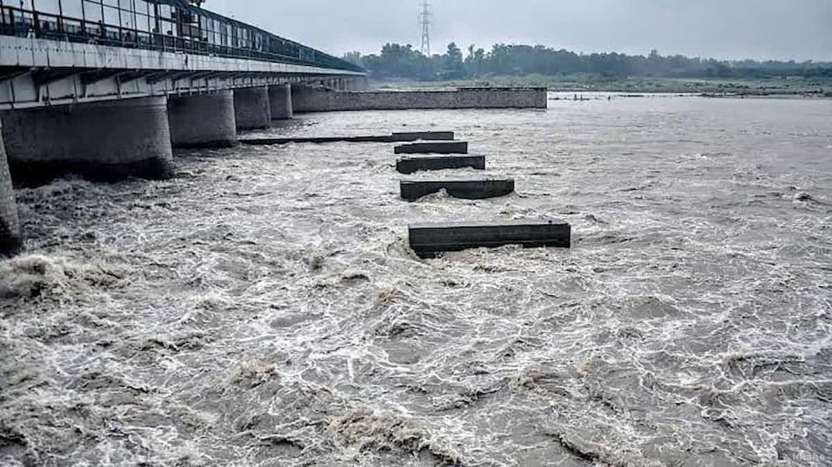 यमुनानगर में हाई अलर्ट: पहाड़ों में आफत की बारिश से उफान पर यमुना, हथिनीकुंड बैराज पर बढ़ा खतरा