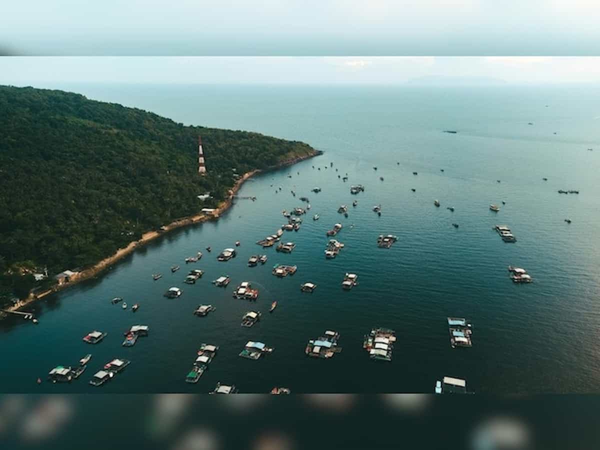 Vietnam Tragedy: वियतनाम के जिस समंदर में डूबी भारतीयों से भरी नाव, जानिए क्यों इतना मशहूर है वह टूरिस्ट स्पॉट