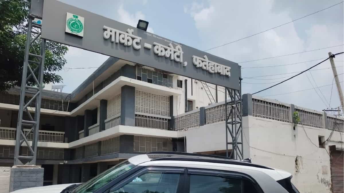 फतेहाबाद के डीएमईओ सुल्तान सस्पेंड, जंतर-मंतर पर छात्रों के समर्थन की शिकायत और सोनाली फोगाट का पुराना सैंडल कांड फिर चर्चा में