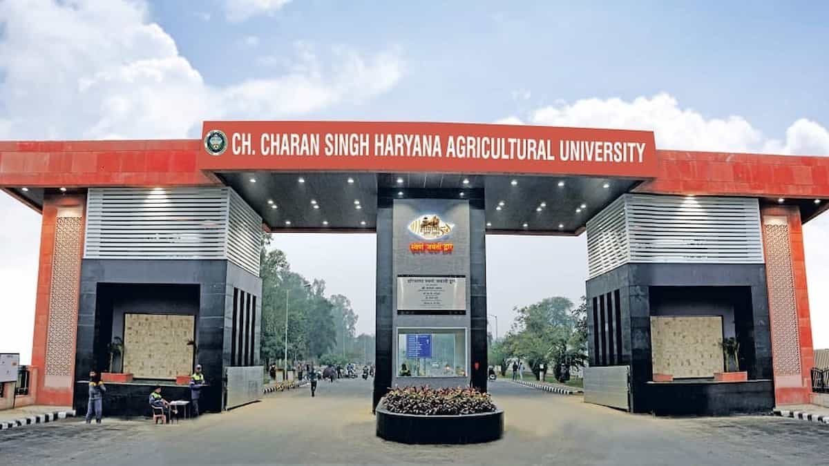 हिसार के एचएयू (HAU) में यूजी और पीजी कोर्सेज के लिए आज से शुरू होंगे आवेदन