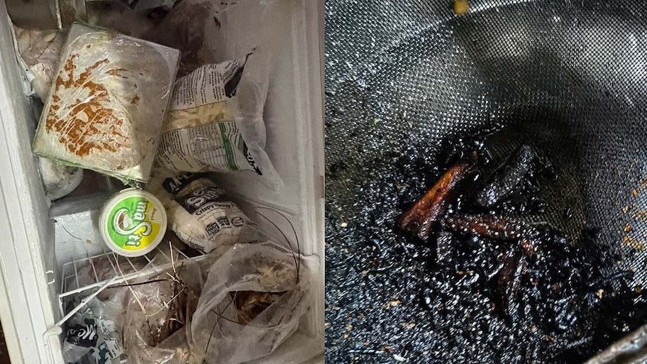 Food Safety Crackdown: किचन में जिंदा कॉकरोच और मक्खियां; IAS तुकाराम मुंढे के एक्शन से मैकडोनाल्ड समेत 3 बड़े आउटलेट्स का लाइसेंस सस्पेंड