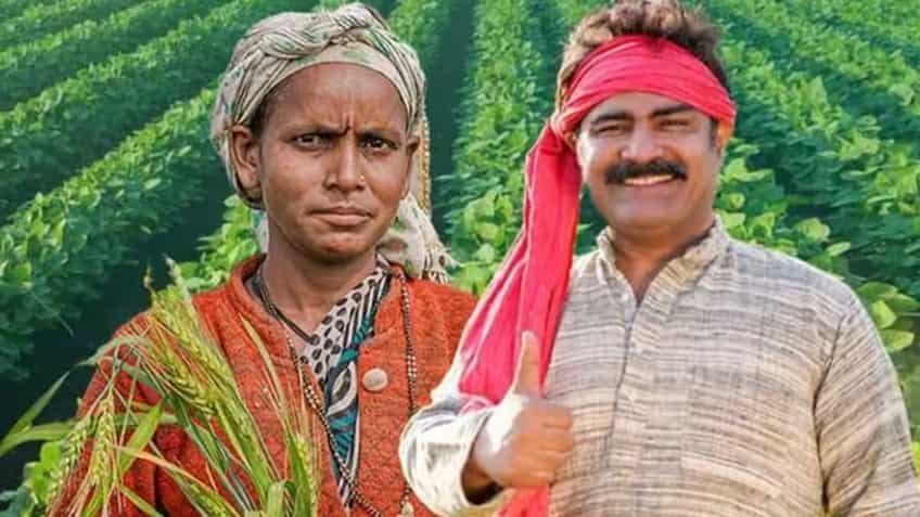 Kisan Fertilizer WhatsApp Booking: अब लंबी लाइनों से मुक्ति! WhatsApp चैटबॉट से घर बैठे बुक करें यूरिया और डीएपी, 10 आसान स्टेप में मिलेगा QR कोड वाला टोकन