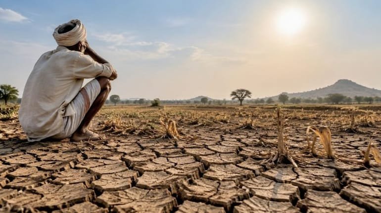 Maharashtra Drought Crisis: महाराष्ट्र के 30 से ज्यादा जिलों में गहराया सूखा संकट, जानिए सरकार कैसे घोषित करती है सूखाग्रस्त क्षेत्र