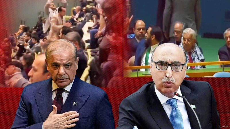 UNGA में 'पाकिस्तान जिंदाबाद' के नारे लगवाकर घिरे शहबाज शरीफ