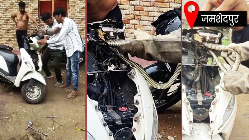 स्कूटी के अंदर छिपे बैठे मेहमान को देख सहम गए लोग, खड़े हो गए रोंगटे