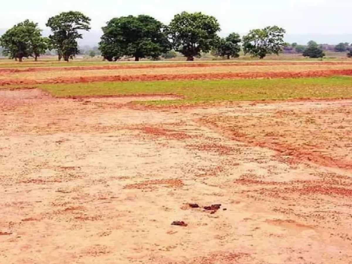 सीहोर अतिक्रमण मामला: 31.48 हेक्टेयर जमीन पर आदिवासियों के कब्जे की रिपोर्ट सीएम को सौंपी, सामने आए बड़े खुलासे