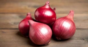 404041 Health Benefits Of Onion