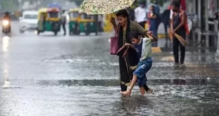 Imd Rainfall 8 696x391.jpg