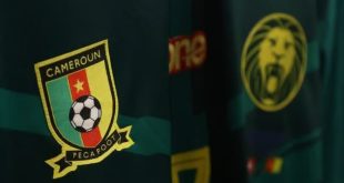 Cameroon Fa Appoints Interim Coa