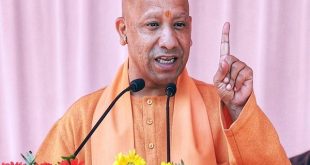 Up Cm Yogi 350