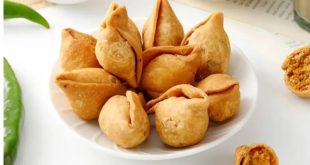 Mini Aata Samosa One.jpg