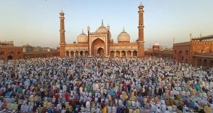 Delhi Zama Masjid 500