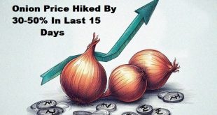 Onion Price Illustration 3047255