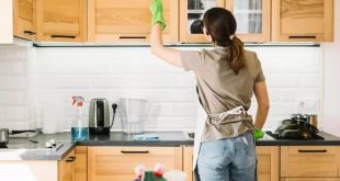 25 08 2023 Kitchen Cleaning Tips