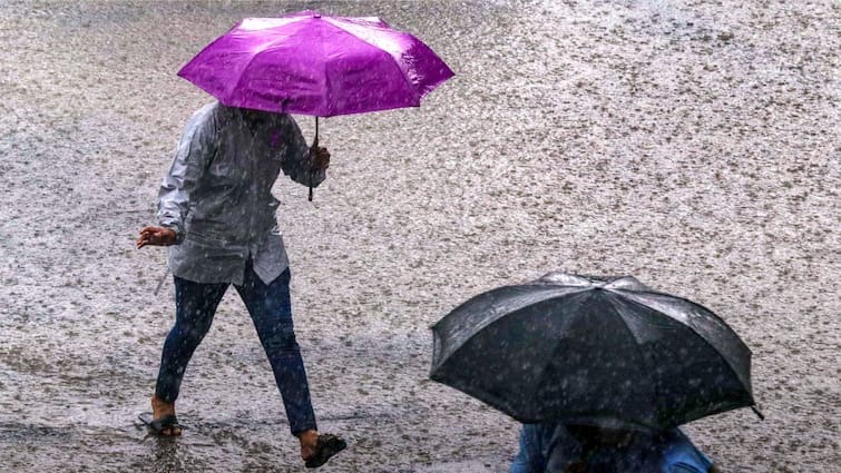 Heavy Rain,IMD,Issues,Red alert,States,WEATHER updates,