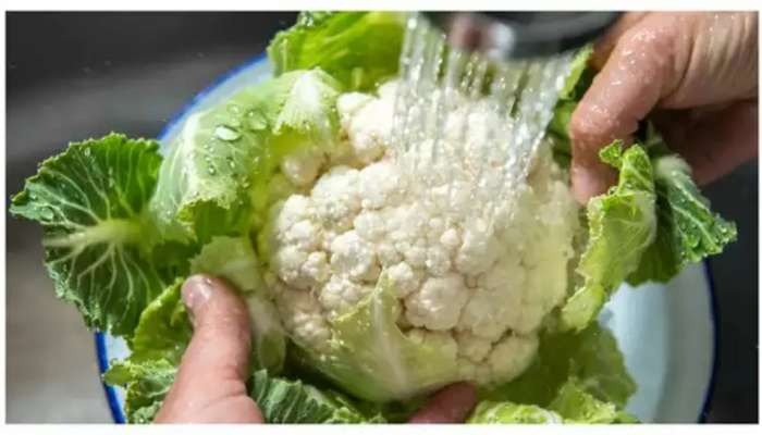 420605 Cauliflower