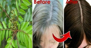 White Hair, Curry For White Hair, Remedy For White Hair, Natural Remedy For White Hair, Home Remedy For White Hair, Hair Care, Hair Care Tips, Hair Care Tips Kannada