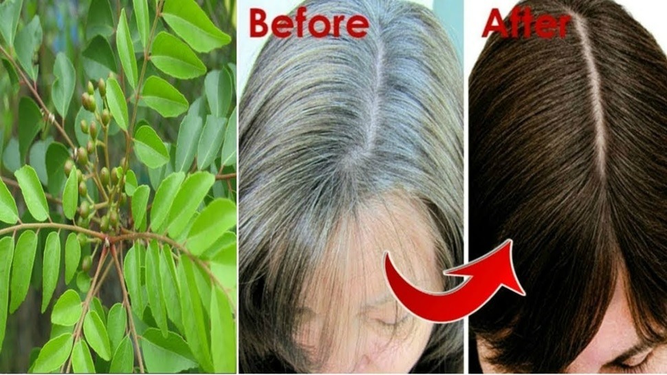 White Hair, Curry For White Hair, Remedy For White Hair, Natural Remedy For White Hair, Home Remedy For White Hair, Hair Care, Hair Care Tips, Hair Care Tips Kannada