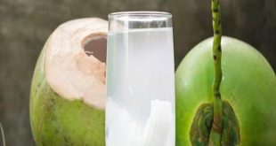 573702 Coconut Water