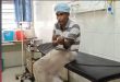 Amritsar News,ATTACK,nihang singh,hospital