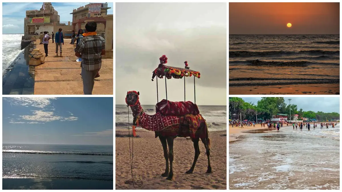 You must visit these best beaches of Gujarat on your next trip – look ...