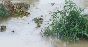 Flood In Vadodara.jpg