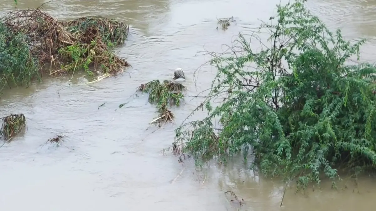 Flood In Vadodara.jpg