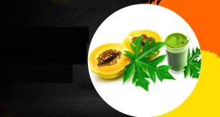 Papaya Leaf Juice Main