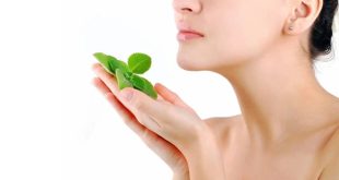 Skin Benefits Of Mint Leaves Mob