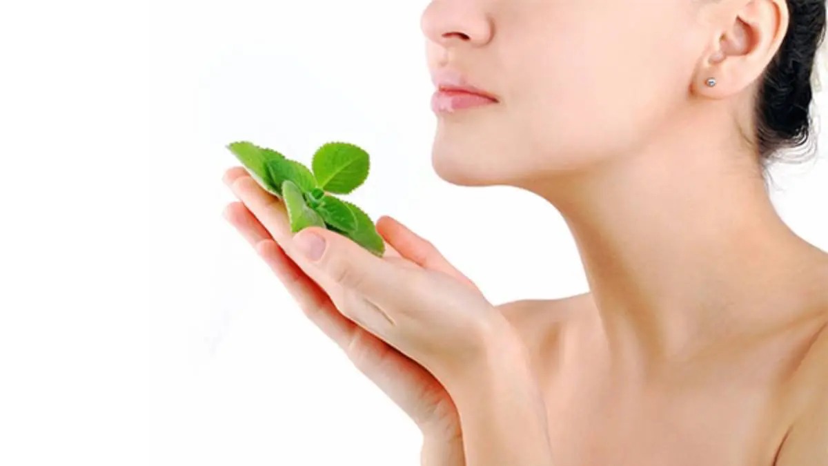 Skin Benefits Of Mint Leaves Mob