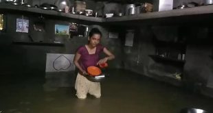 Water Logging In Home Jndh.jpg