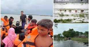 Asam Flood.jpg