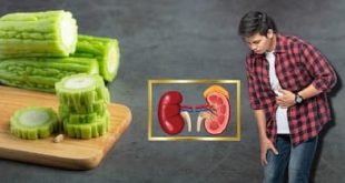 Kidney Diet Health