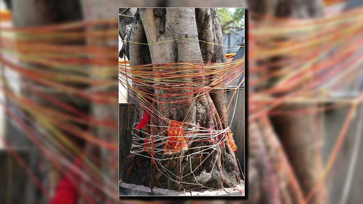 Astrology of Peepal Tree