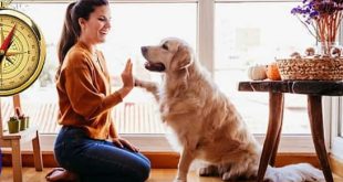 Vaastu Tips For Pet Animals In H