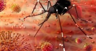 Zika Vrus Confirmed In India 171