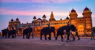 432101 Mysore Dasara