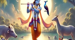 582525 Shree Krishna