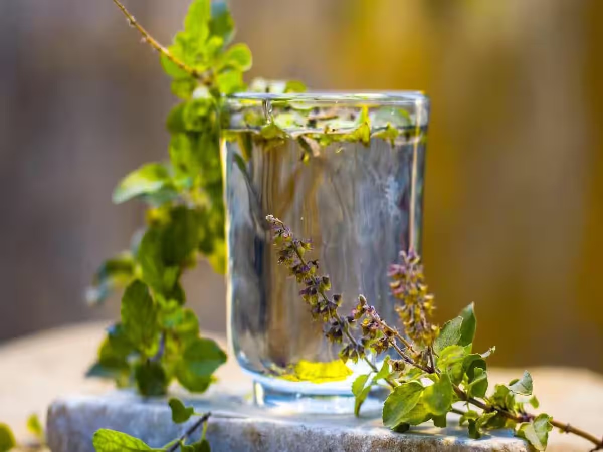 584633 Tulsi Water