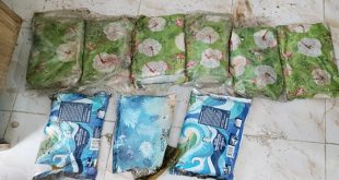 Charas Worth 5.30 Crores Seized