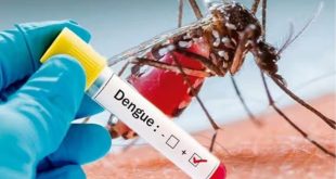 Dengue Cases Increase In Gujarat