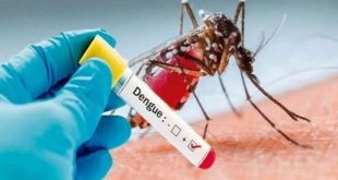 Dengue In Child