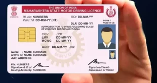 Driving License 3.jpg