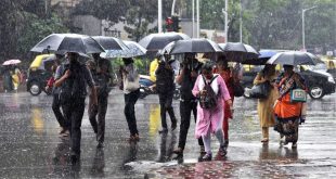 Gujarat Weather Today 23 June