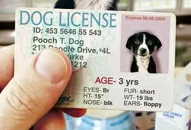 Pet License Update.jpg