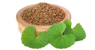 Ajwain Gass Bene.jpg (1)