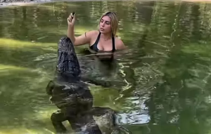 Crocodile.jpg