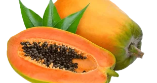 Papaya Fruit Benefits For Skin Main Banner Hindi